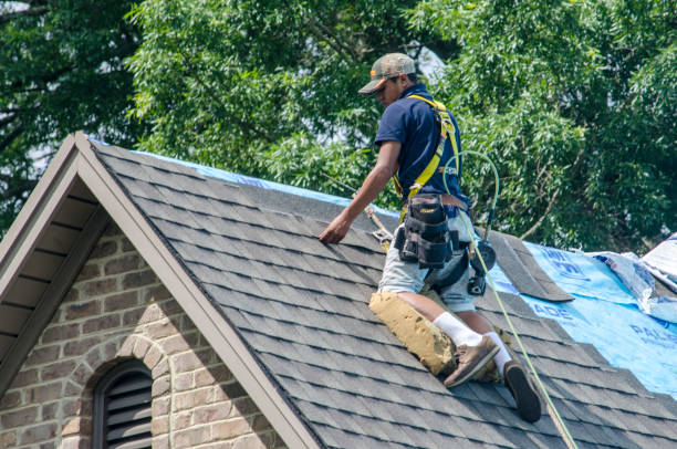 Best Residential Roof Replacement  in Windber, PA